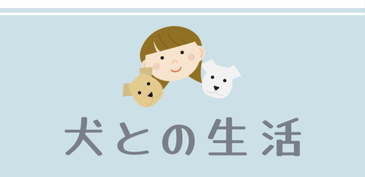 カワイイがいっぱい！ワンダーランド